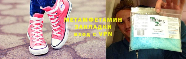 сатива Коряжма
