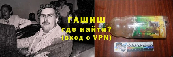 сатива Коряжма