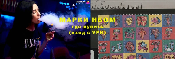 сатива Коряжма