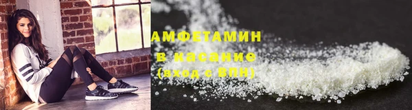 сатива Коряжма