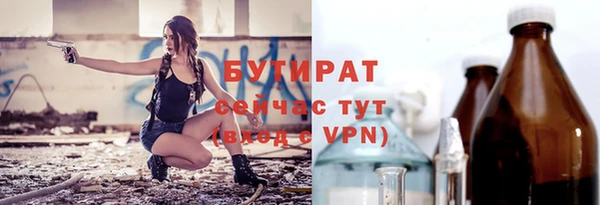 сатива Коряжма
