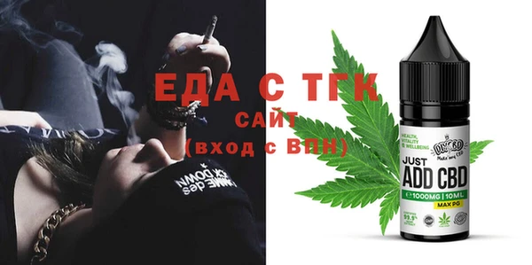 сатива Коряжма