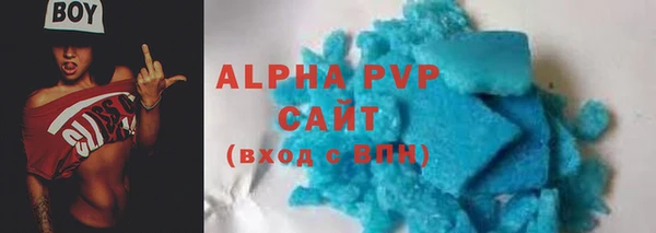 сатива Коряжма