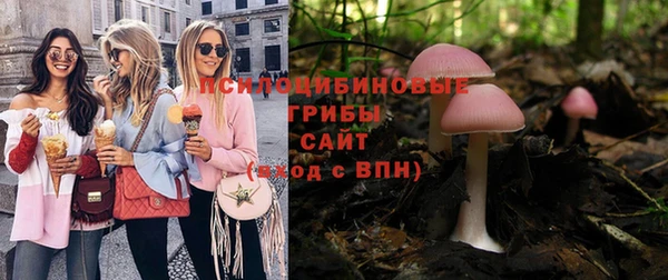 кокс Кинешма