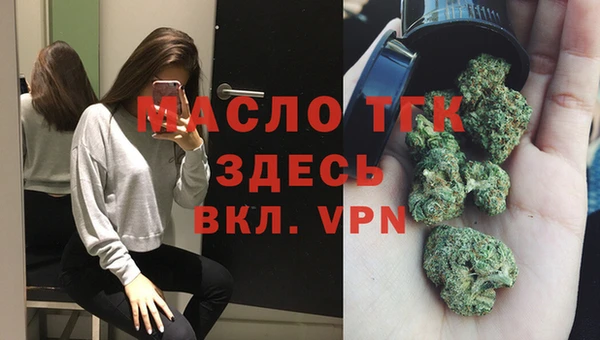 сатива Коряжма